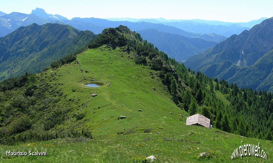 15 I pascoli della Forcella di Zulino.JPG